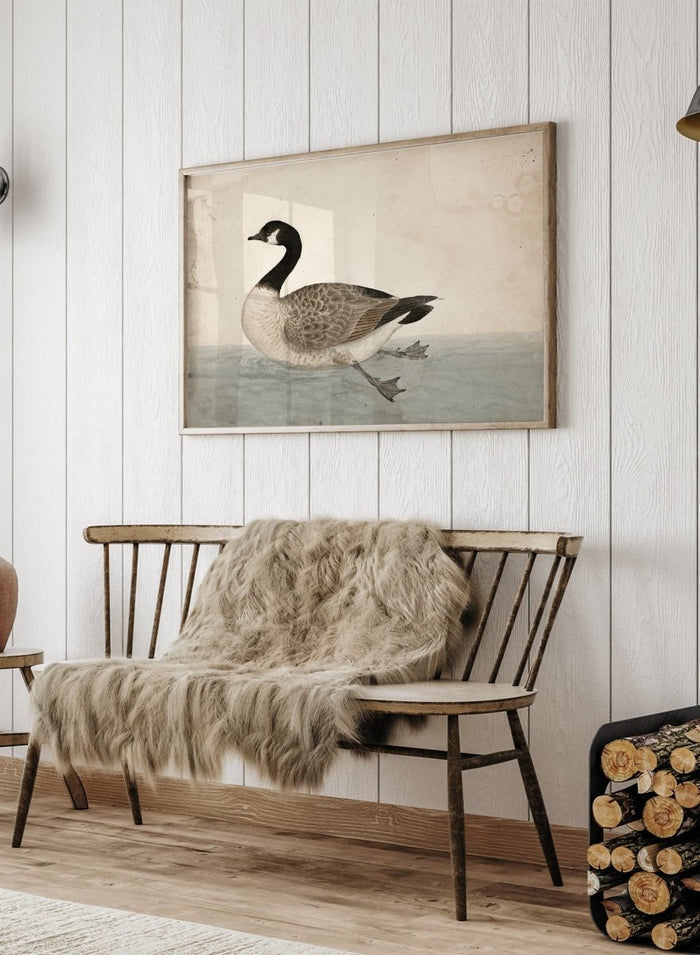A Goose by James Sowerby is a vintage natural history animal print of a Canada goose swimming, a detailed bird study print for wall art lovers and collectors.