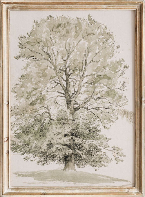 "A Large Beech Tree with Green Foliage" Art Print_Sugar & Canvas_P.C. Skovgaard