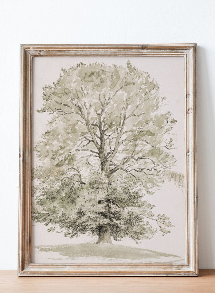 "A Large Beech Tree with Green Foliage" Art Print_Sugar & Canvas_P.C. Skovgaard