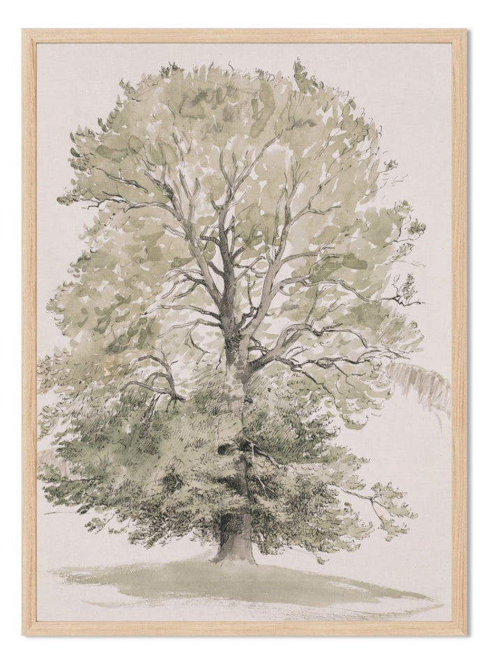 "A Large Beech Tree with Green Foliage" Art Print_Sugar & Canvas_P.C. Skovgaard