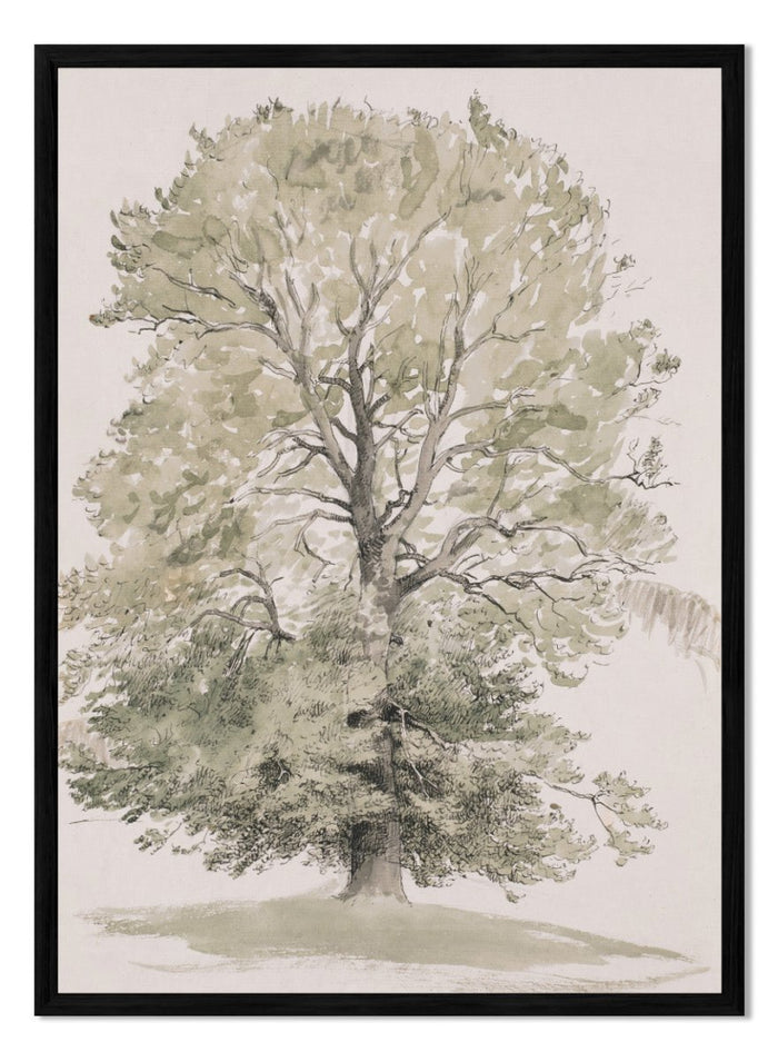 "A Large Beech Tree with Green Foliage" Art Print_Sugar & Canvas_P.C. Skovgaard