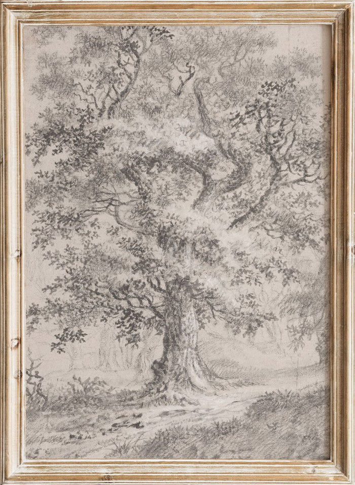"A Leafy Oak by a Woodland Path" Art Print_Sugar & Canvas_Johann Caspar Huber
