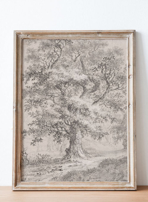 "A Leafy Oak by a Woodland Path" Art Print_Sugar & Canvas_Johann Caspar Huber