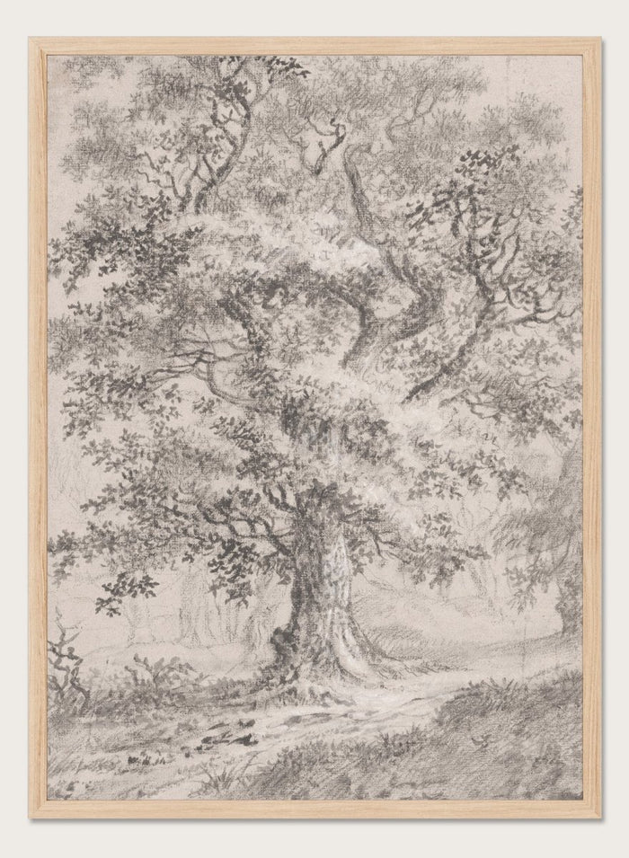 "A Leafy Oak by a Woodland Path" Art Print_Sugar & Canvas_Johann Caspar Huber
