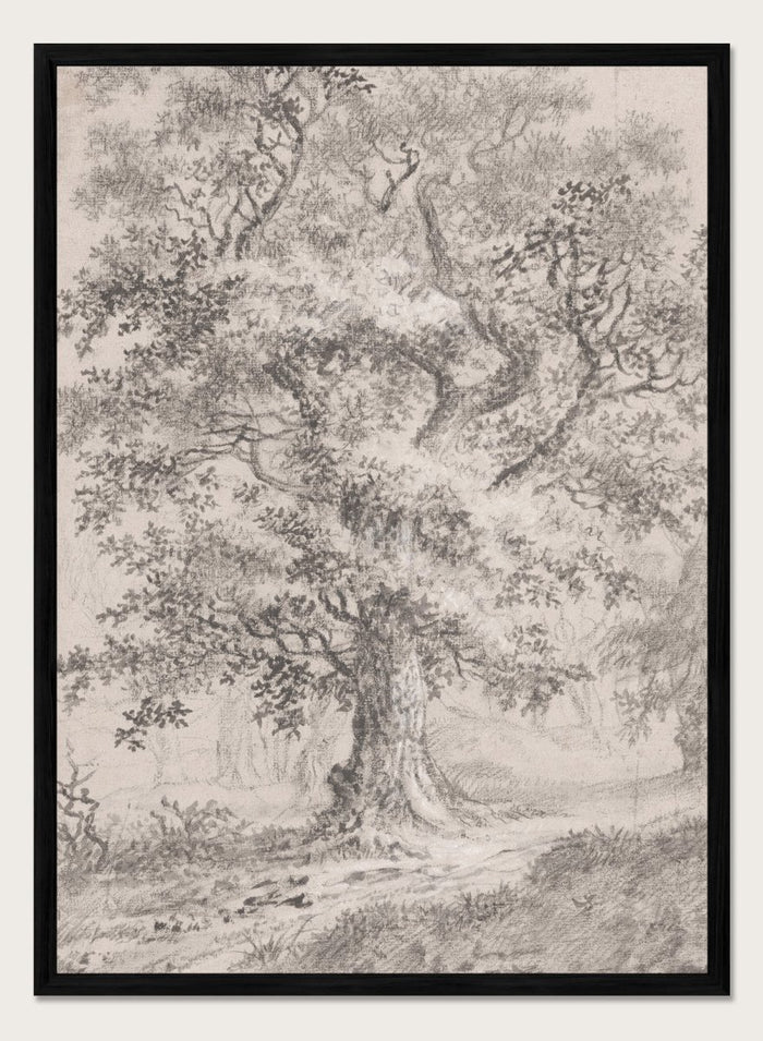 "A Leafy Oak by a Woodland Path" Art Print_Sugar & Canvas_Johann Caspar Huber