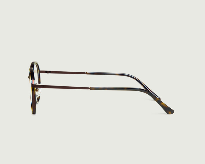 Bronze Tort::Alvaro Eyeglasses round tort metal side