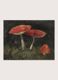 Amanitas by Gustav Macoun is a vintage still life print of red mushrooms in dark forest moss, a woodland nature print great for a rustic wall art collection.