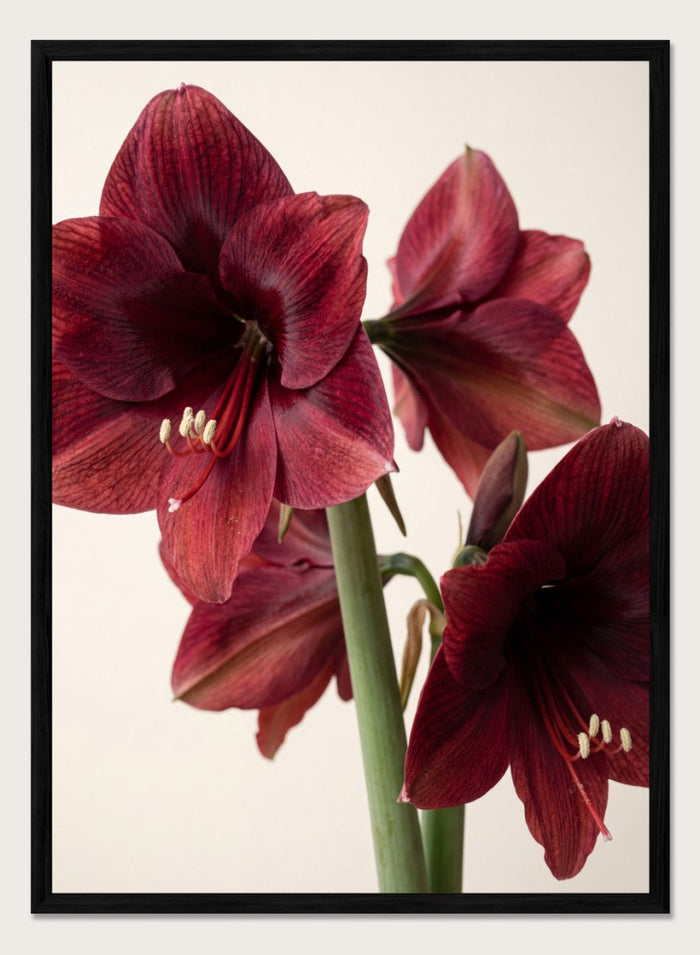A4/8x12 inches (Framing Available) / Black Wood Frame