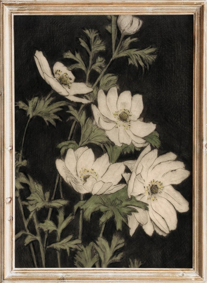 "Anemones" Art Print_Sugar & Canvas_Bertha E. Jaques