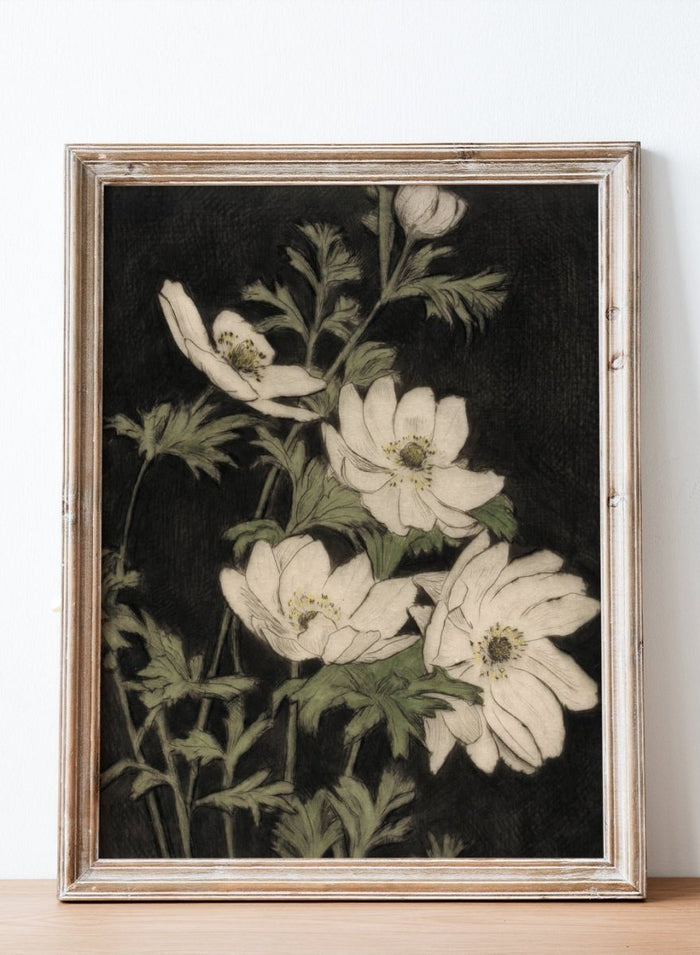 "Anemones" Art Print_Sugar & Canvas_Bertha E. Jaques