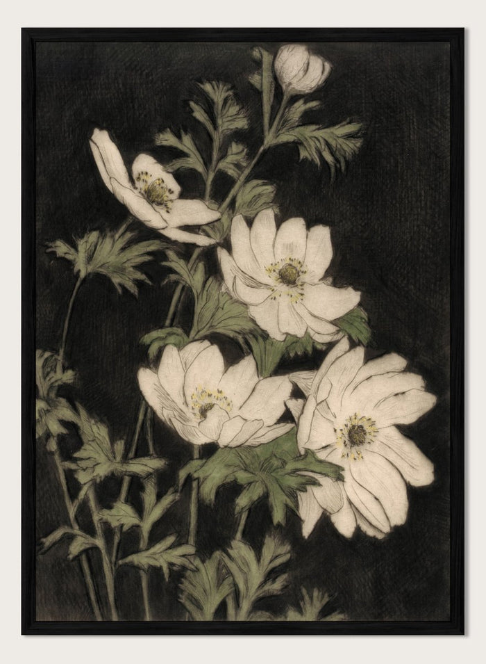 "Anemones" Art Print_Sugar & Canvas_Bertha E. Jaques