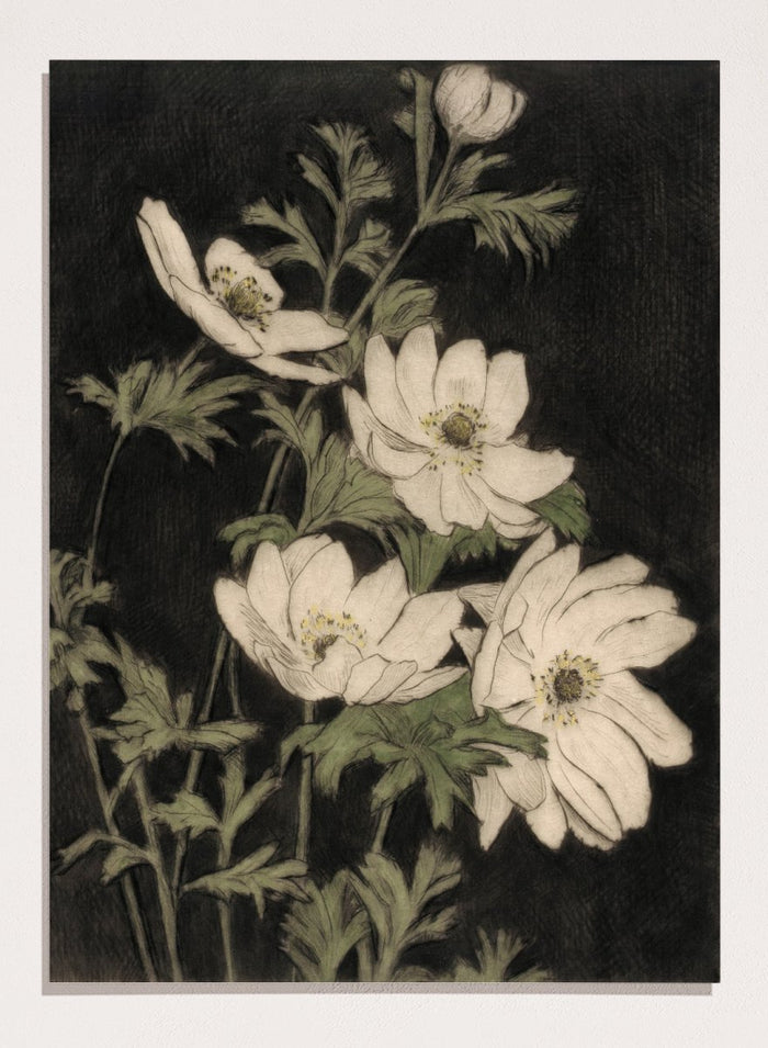 "Anemones" Art Print_Sugar & Canvas_Bertha E. Jaques
