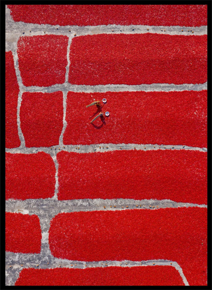 Azim Khan Ronnie - Chilli Farm Art Print (Vertical)