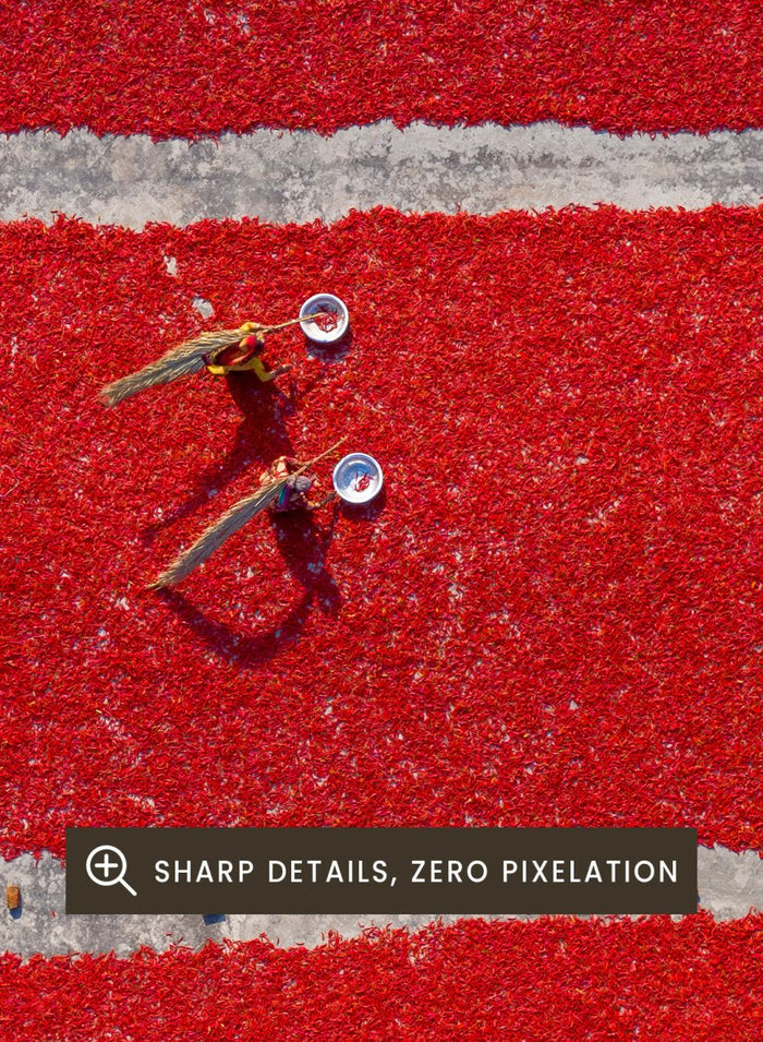 Azim Khan Ronnie - Chilli Farm Art Print (Vertical)