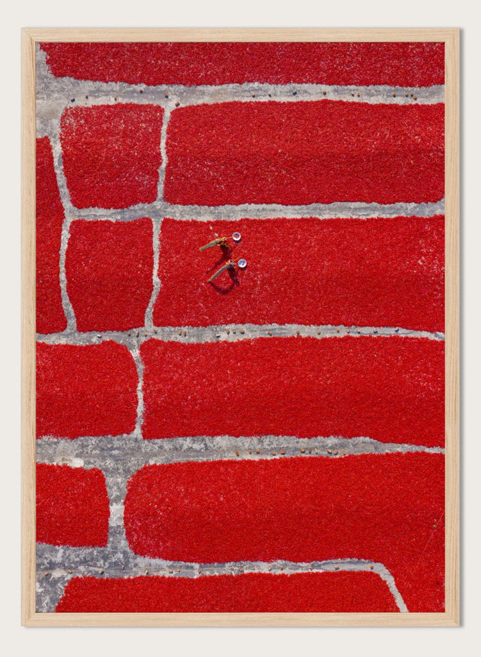 Azim Khan Ronnie - Chilli Farm Art Print (Vertical)