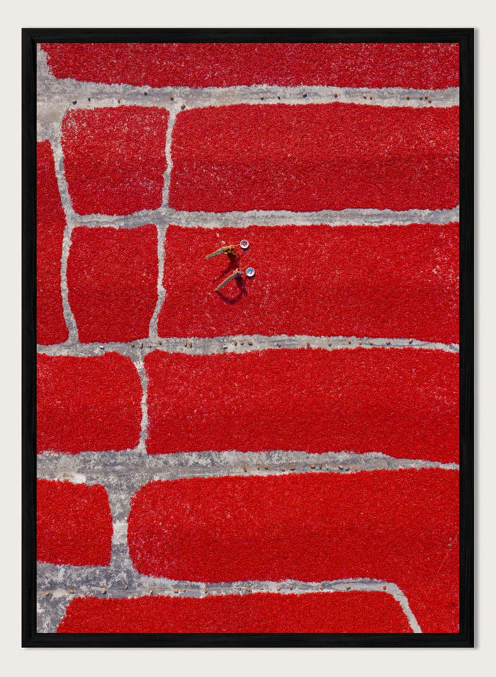 Azim Khan Ronnie - Chilli Farm Art Print (Vertical)