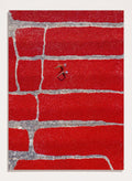 Azim Khan Ronnie - Chilli Farm Art Print (Vertical)