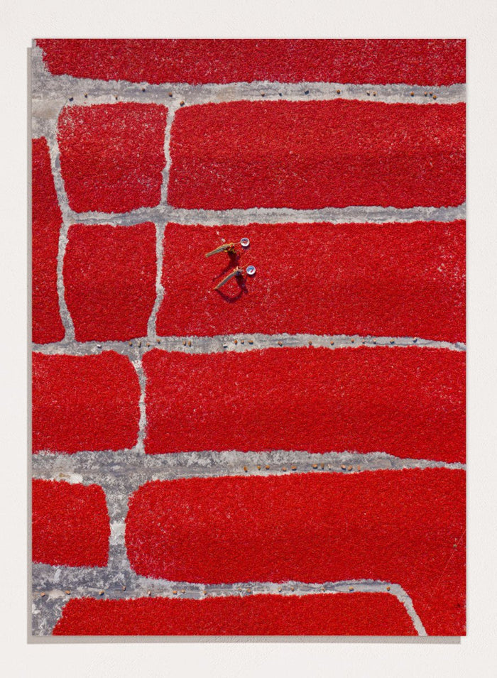 Azim Khan Ronnie - Chilli Farm Art Print (Vertical)