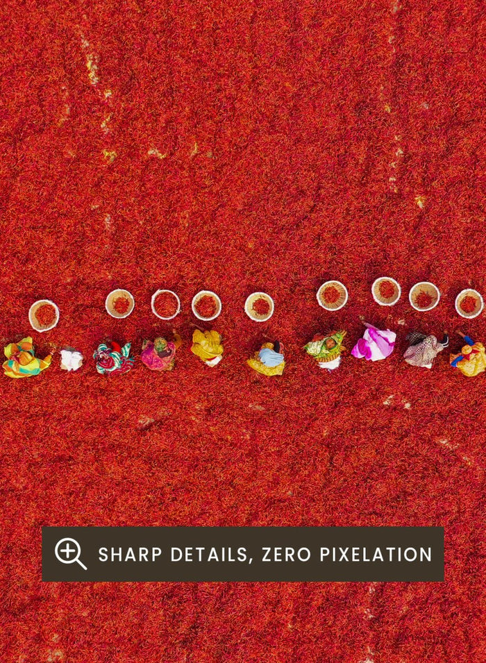 Pickers Sorting Chillies by Azim Khan Ronnie aerial photography print showing workers in red chilli fields Bangladesh, cultural documentary wall art poster.