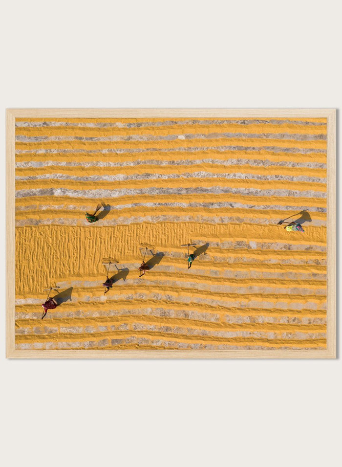 Rice Drying by Azim Khan Ronnie aerial photography print showing rice drying fields in Bangladesh, agricultural pattern wall art poster