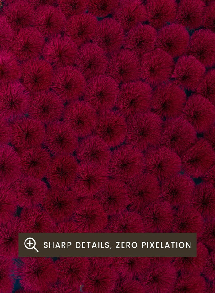 Drying Incense by Azim Khan Ronnie Aerial Photography print showing Vietnamese incense workers in Hanoi with vibrant red bundles, cultural documentary wall art poster.