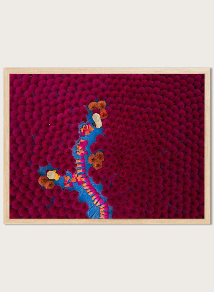 Drying Incense by Azim Khan Ronnie Aerial Photography print showing Vietnamese incense workers in Hanoi with vibrant red bundles, cultural documentary wall art poster.