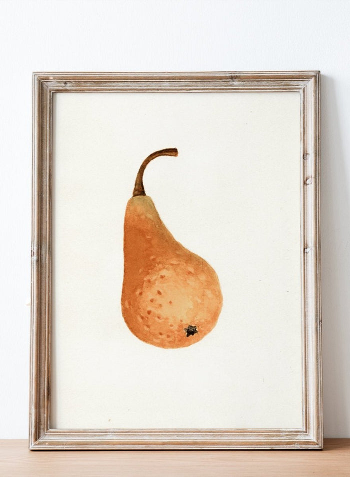 "Bosc Pear" Art Print_Sugar & Canvas_James Marion Shull