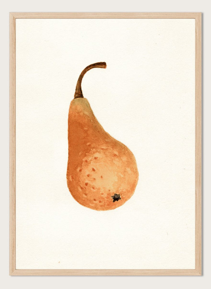 "Bosc Pear" Art Print_Sugar & Canvas_James Marion Shull