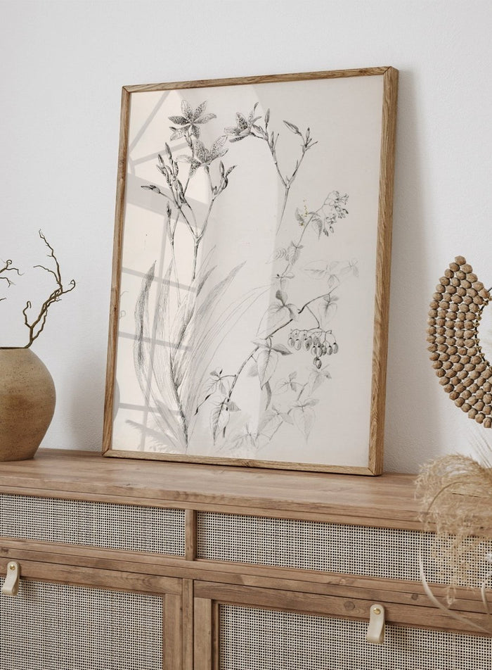 Botanical Study by George Elbert Burr is a vintage pen and ink botanical print of lilies, leaves, and berries, a detailed nature drawing for wall art.