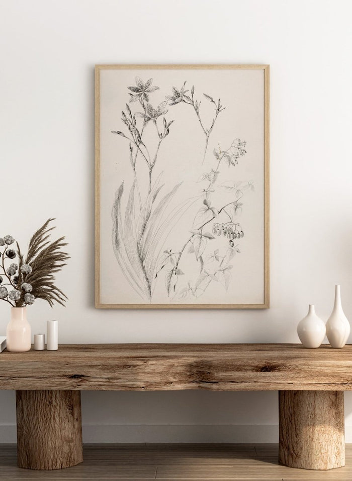 Botanical Study by George Elbert Burr is a vintage pen and ink botanical print of lilies, leaves, and berries, a detailed nature drawing for wall art.