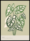 'Caladium Plant' Aesthetic Art Print_Sugar & Canvas_Sugar & Canvas