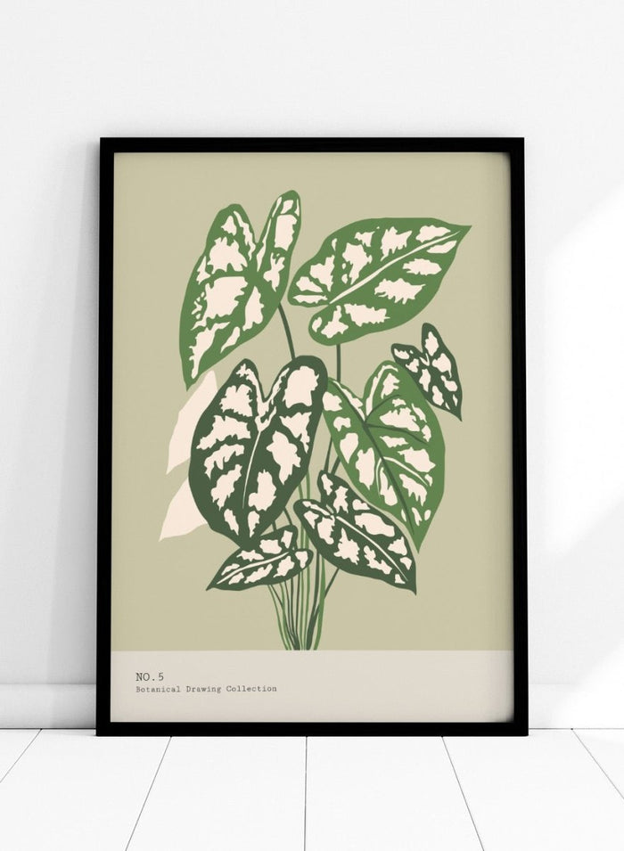 'Caladium Plant' Aesthetic Art Print_Sugar & Canvas_Sugar & Canvas