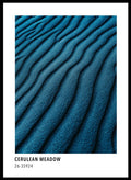 Cerulean Meadow Color Card Art Print_Sugar & Canvas