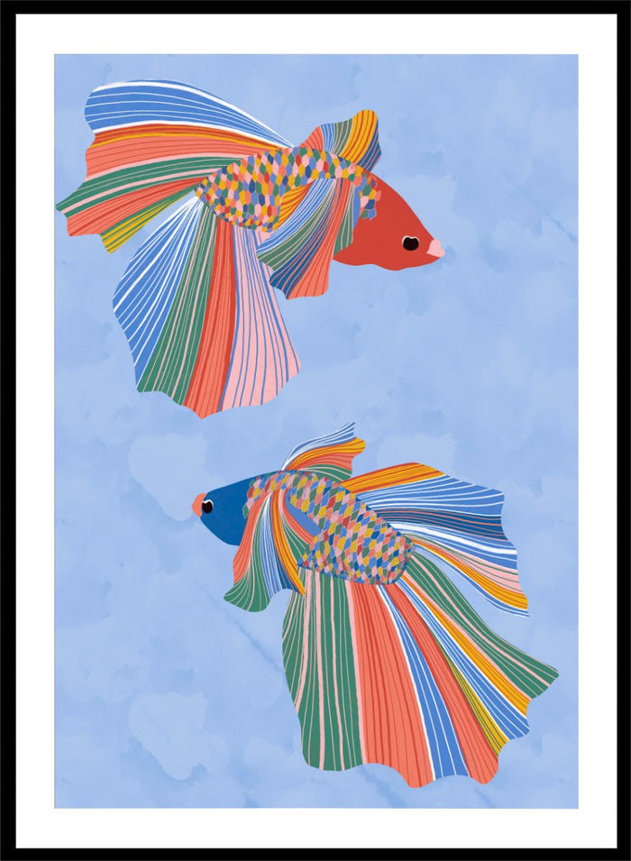 Ceyda Alasar - Colorful Betta Duo Art Print_Sugar & Canvas_Ceyda Alasar