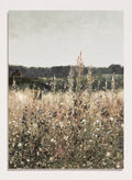 "Champ Fleuri" Art Print_Sugar & Canvas_Antoine Chintreuil