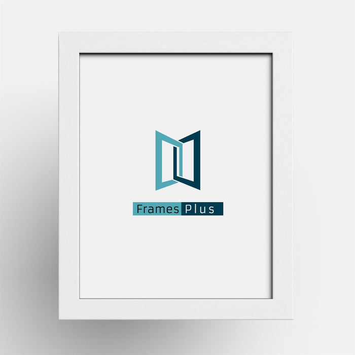 Logo of Frames Plus displayed in a classic white picture frame.