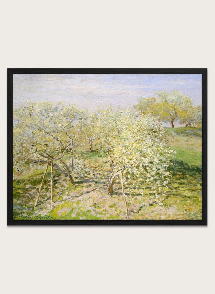 Claude Monet Spring (Fruit Trees in Bloom) Art Print_Sugar & Canvas_Claude Monet