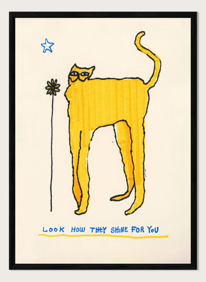Yellow cat illustration with a flower and text on a beige background. Look How They Shine for You by Eden Kalif is a modern cat art print in yellow with text, a contemporary minimalist wall poster with playful form and expressive line work.