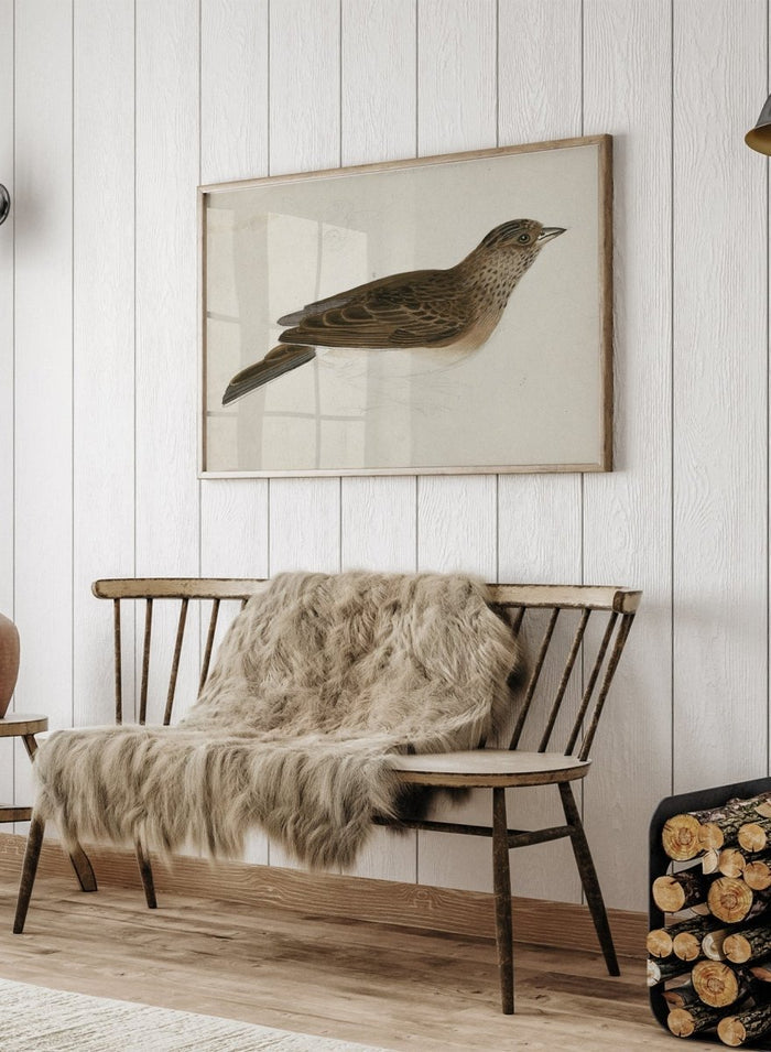 Eurasian Skylark by James Sowerby is a vintage natural history animal print of a brown streaked songbird, a charming study for bird and nature lovers.