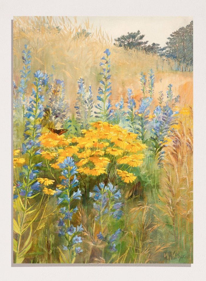"Field Flowers" Art Print_Sugar & Canvas_Lilly Walther