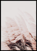 Field of Pampas Grass Print_Sugar & Canvas