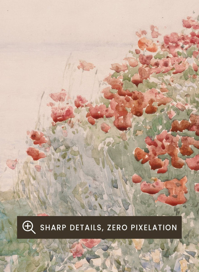 "Field of Poppies, Isles of Shoals" Art Print_Sugar & Canvas_Childe Hassam