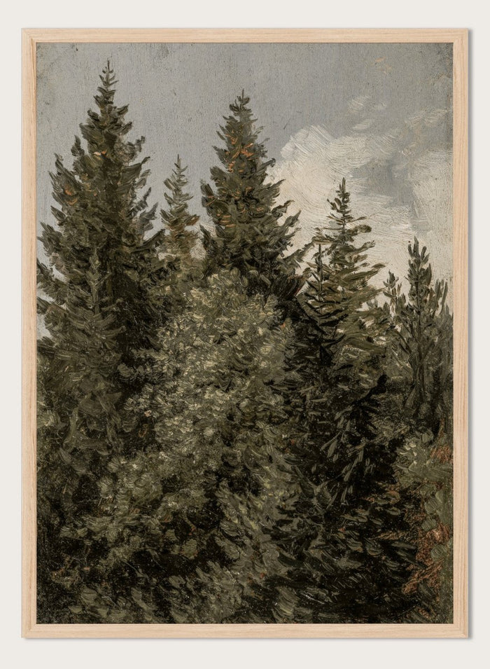 "Firs" Art Print_Sugar & Canvas_Carl Gustav Carus