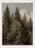 "Firs" Art Print_Sugar & Canvas_Carl Gustav Carus