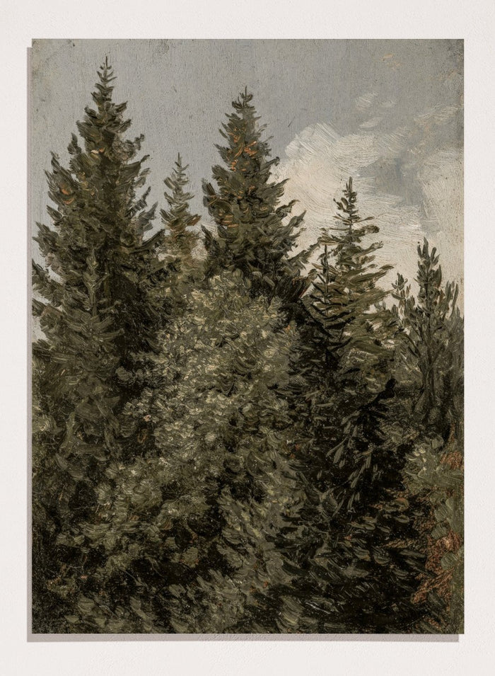 "Firs" Art Print_Sugar & Canvas_Carl Gustav Carus