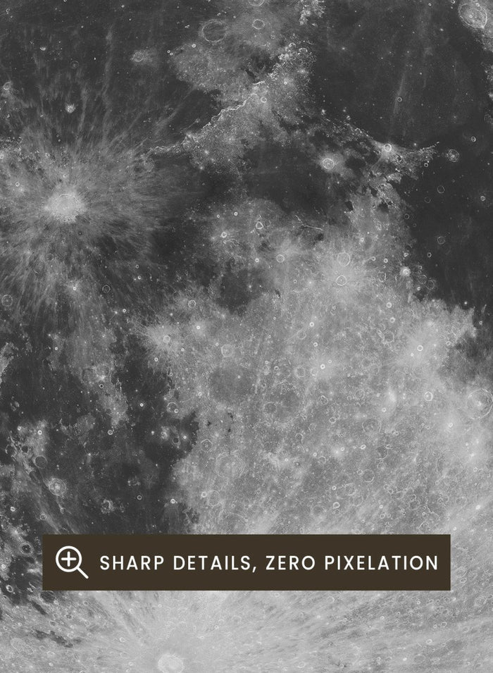 Poster of the moon with 'Moon' text at the top and 'Solar System' text at the bottom. The Full Moon by Florent Bodart is a minimalist space art print with detailed lunar surface, a modern black wall poster inspired by astronomy and science design.