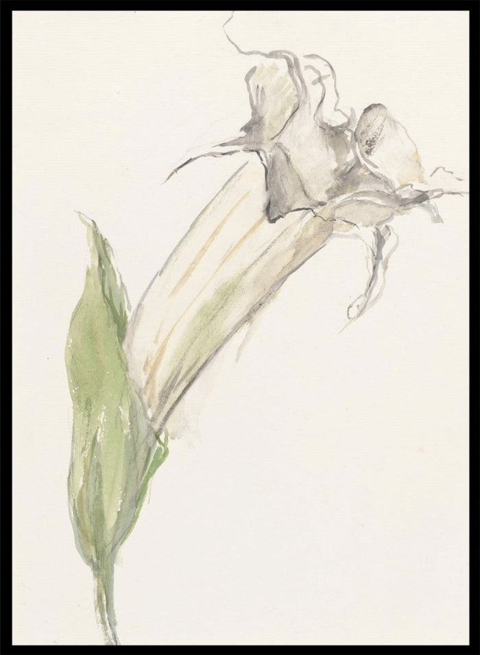 Flower by Sientje Mesdag-van Houten is a vintage botanical print, a watercolor study of a single wilting bloom with a green leaf and pale curling stems.