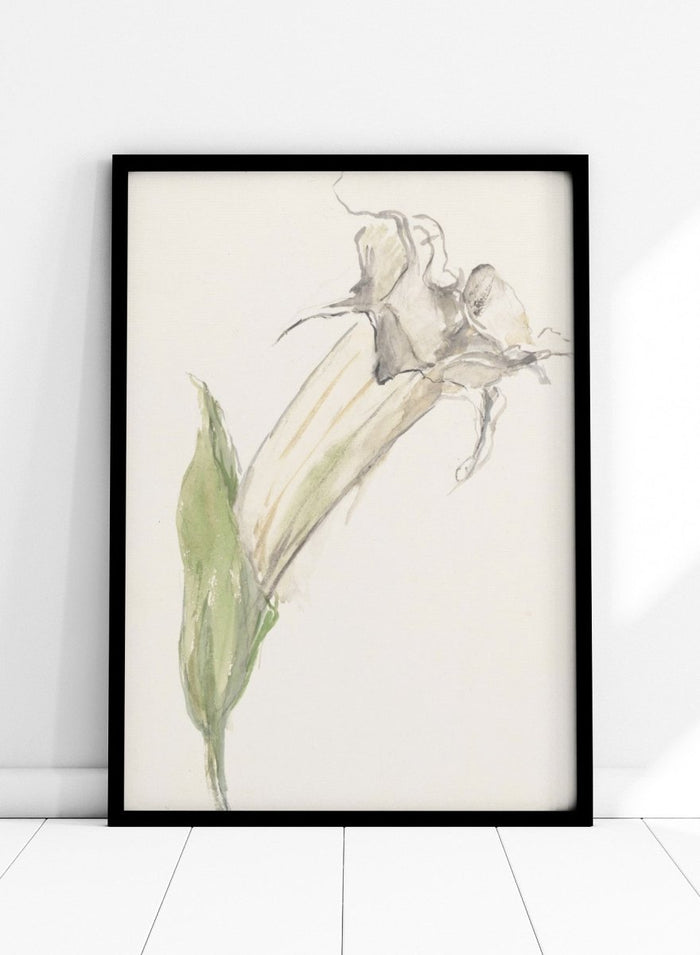 Flower by Sientje Mesdag-van Houten is a vintage botanical print, a watercolor study of a single wilting bloom with a green leaf and pale curling stems.
