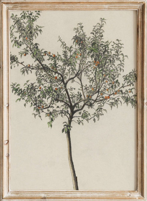 "Fruit Tree" Art Print_Sugar & Canvas_Karl Wiener
