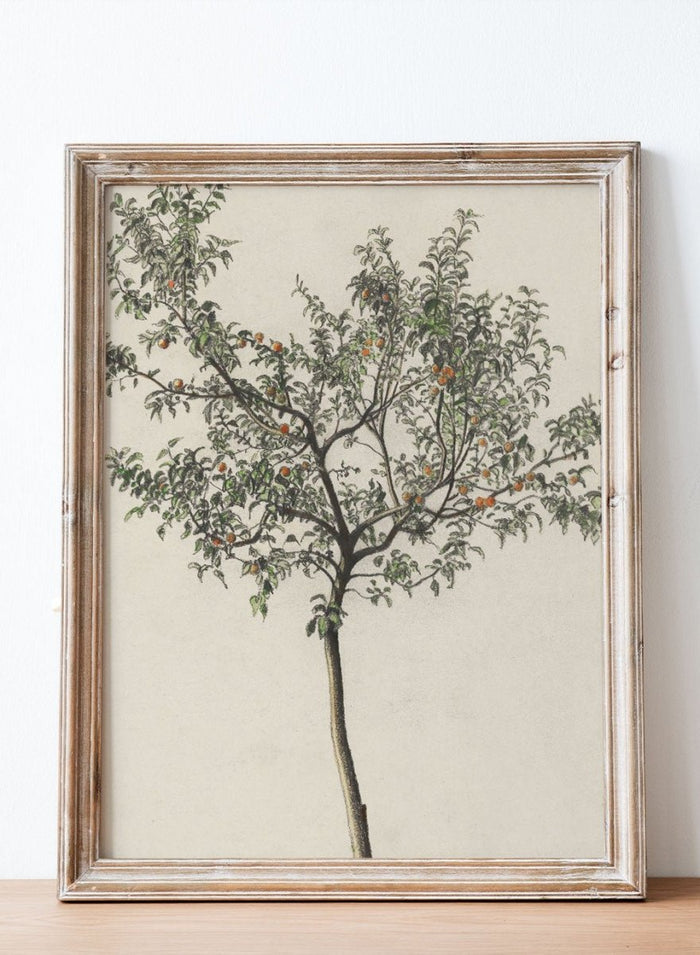 "Fruit Tree" Art Print_Sugar & Canvas_Karl Wiener